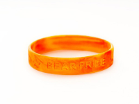 Bear Pride Wristbands