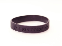 Lion Pride Wristbands